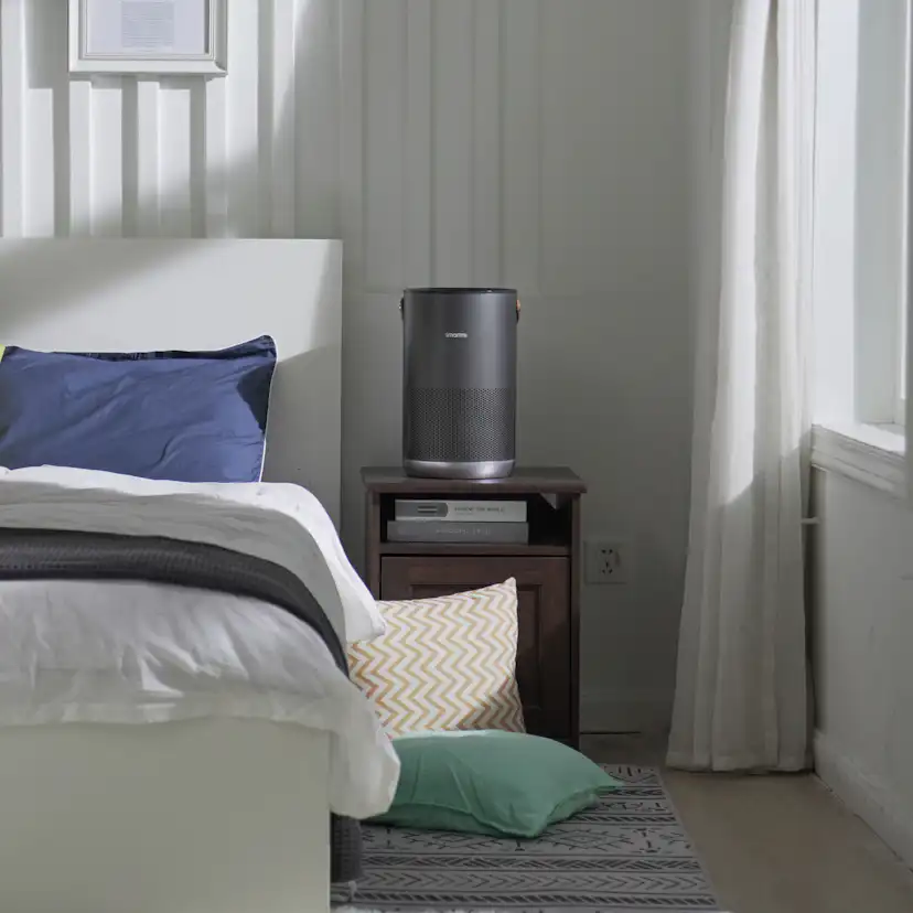 Luftrenare Smartmi P1