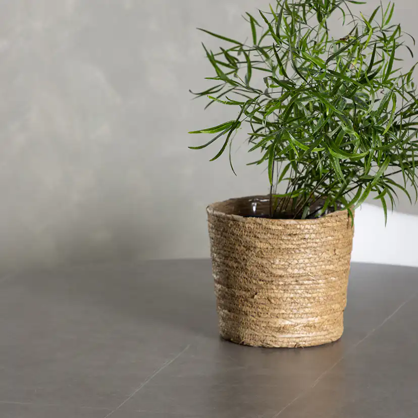 Matgrupp Venture Home Piazza Ø120 cm med 4 st Zeno stolar Vit