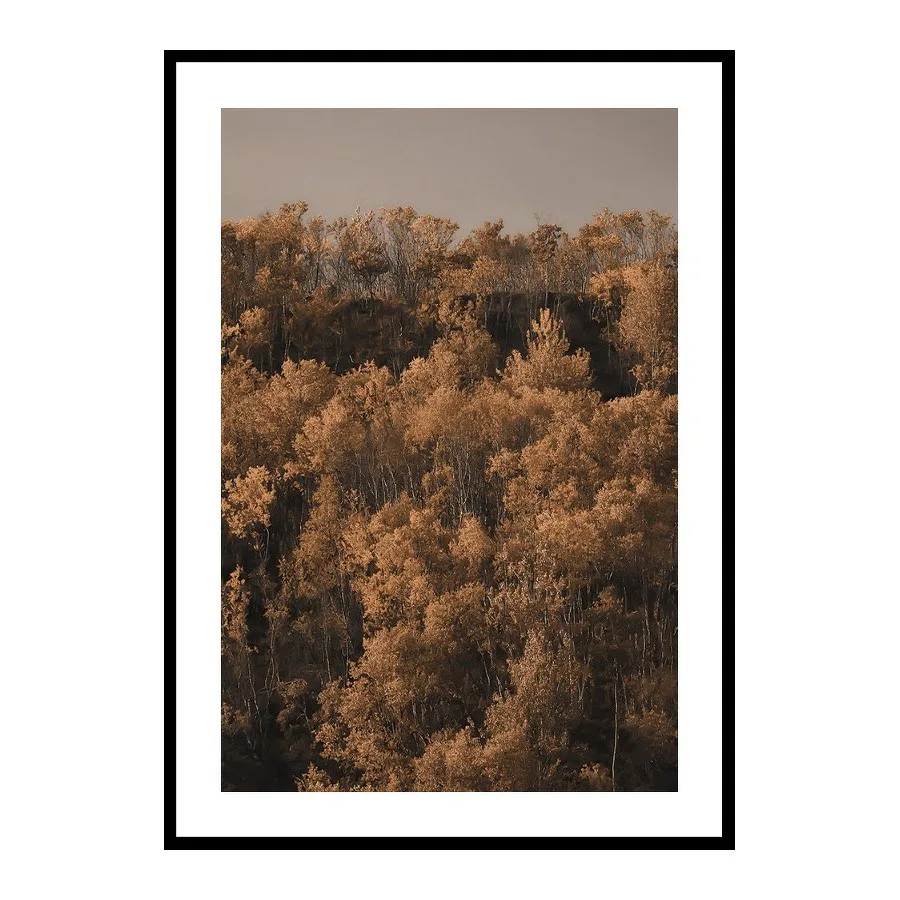 Poster Gallerix Autumn Colored