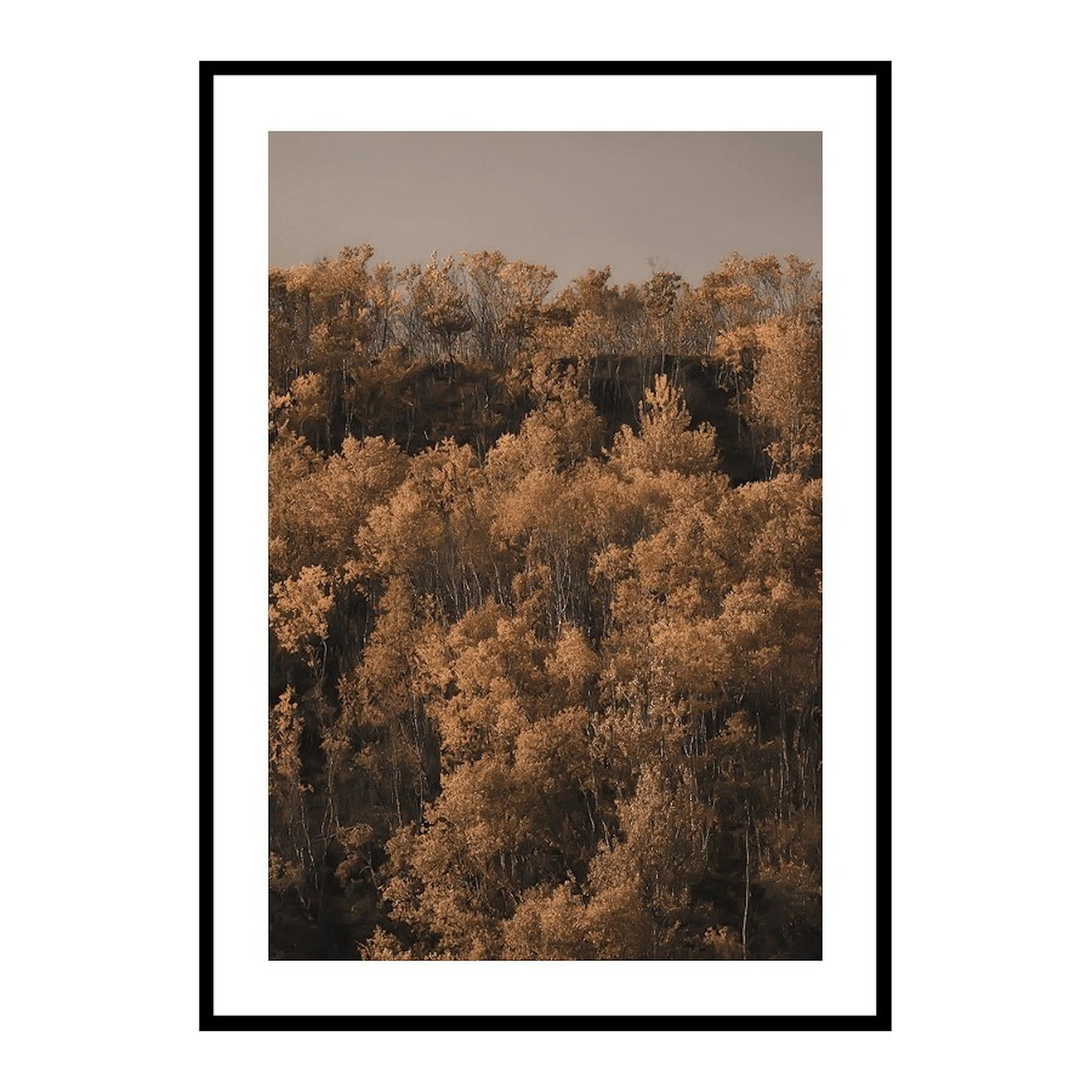 Poster Gallerix Autumn Colored