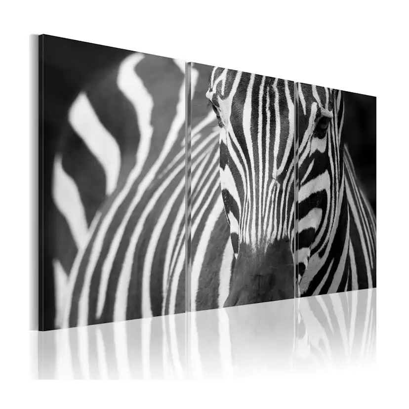 Tavla Arkiio Mrs Zebra