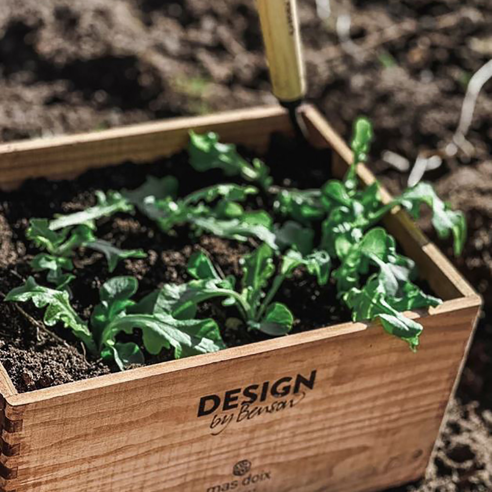 Odlingslåda by Benson