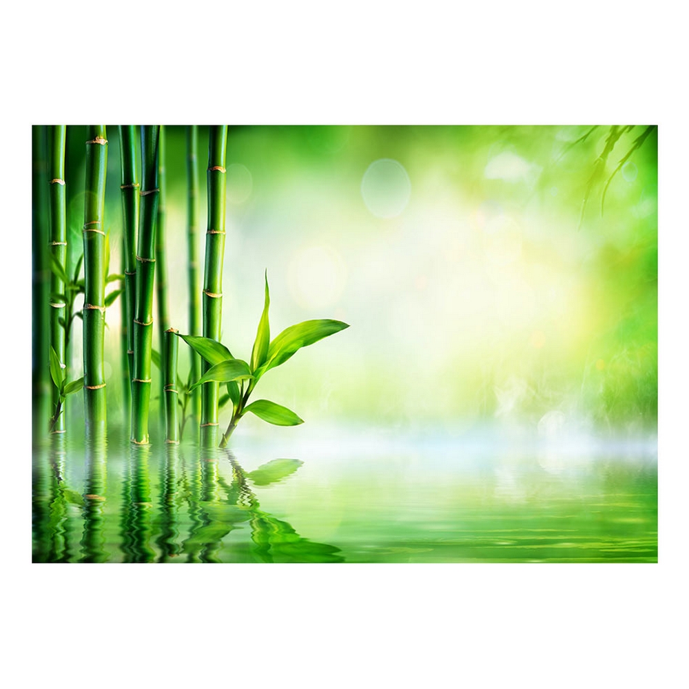 Fototapet Arkiio Självhäftande Bamboo Grove