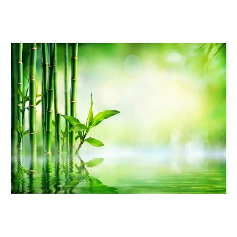 Fototapet Arkiio Självhäftande Bamboo Grove