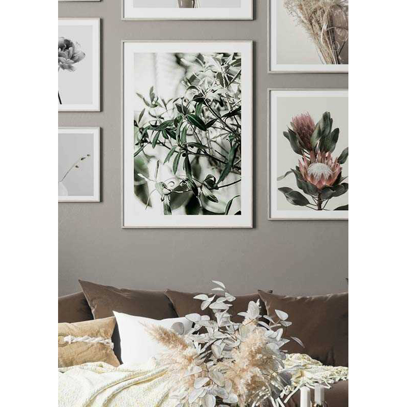 Poster Gallerix Olive Tree