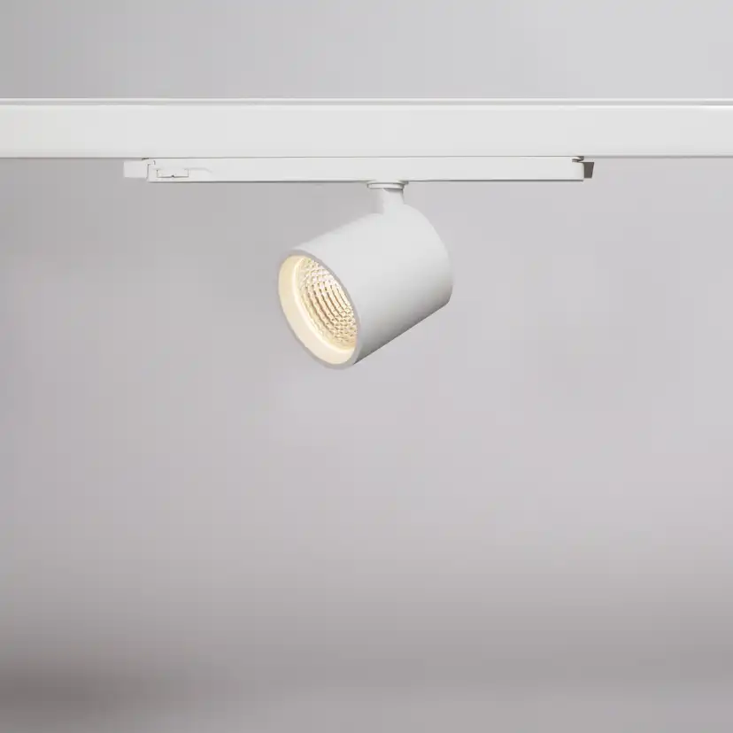 Spotlight Hide-a-lite Optic Track M