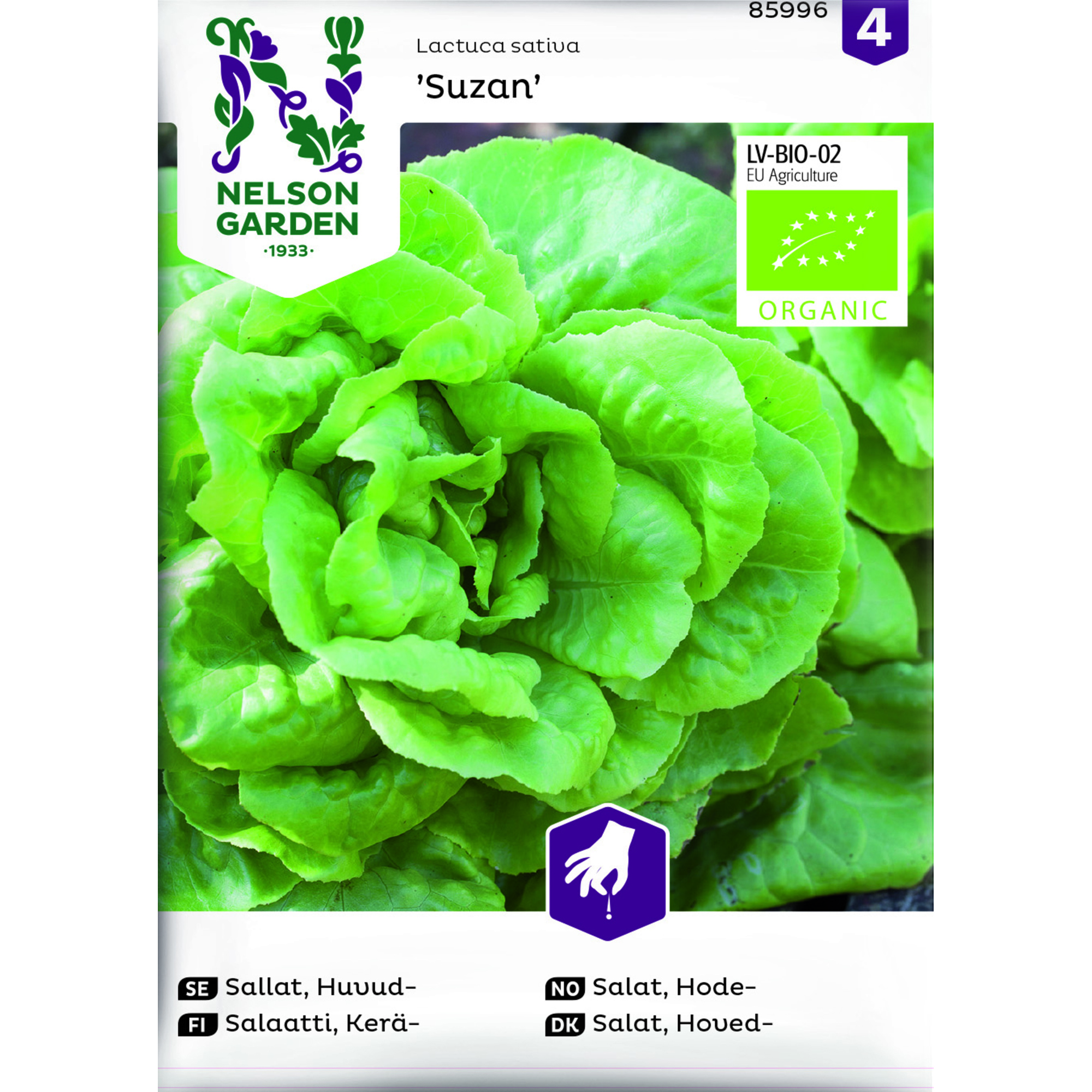 Frö Nelson Garden Sallat Suzan Organic Huvudsallat