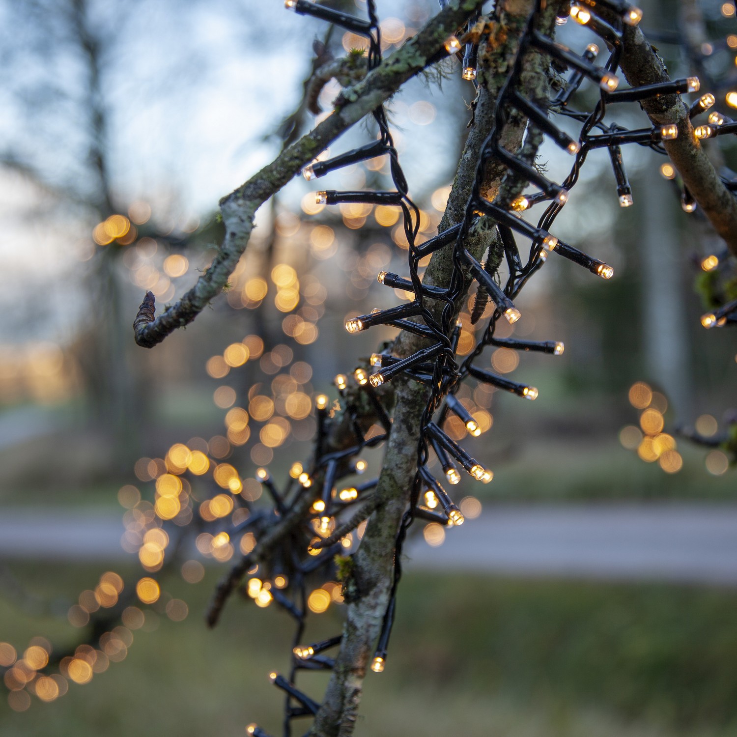 Ljusslinga Star Trading Flashy