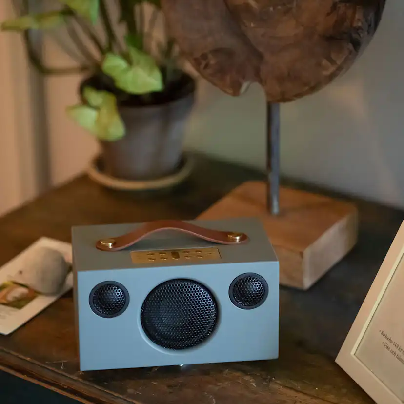 Högtalare Audio Pro C3