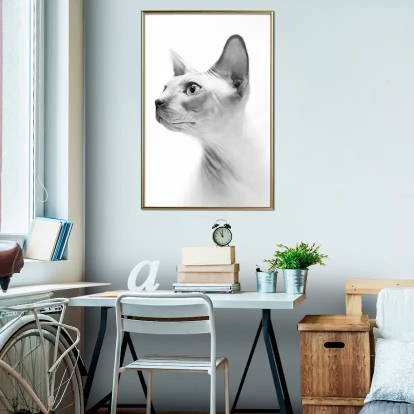 Poster Artgeist Affisch Hairless Cat