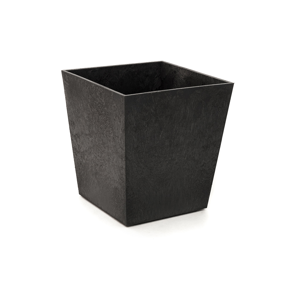 Blomkruka Recal Sonata