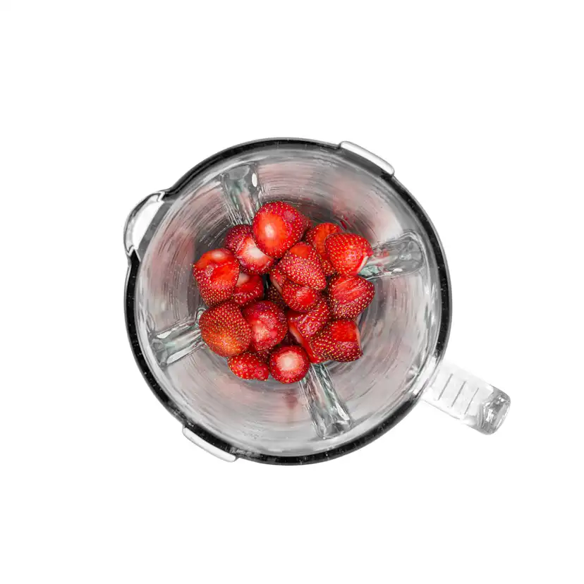 Blender Champion 1,5L 600W Glaskanna BL310 Rostfri