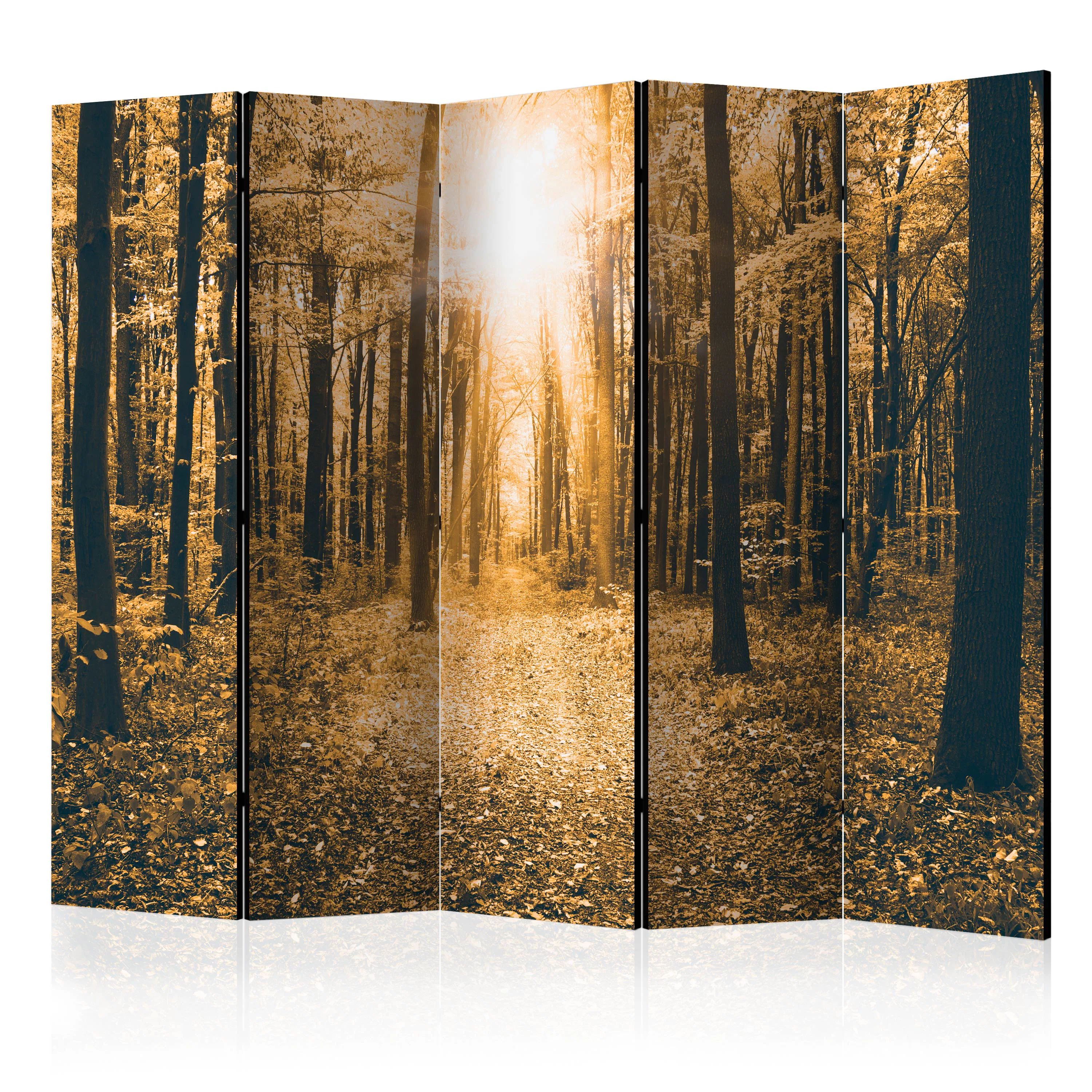 Rumsavdelare Skärmvägg Arkiio Magical Light II 225x172 cm