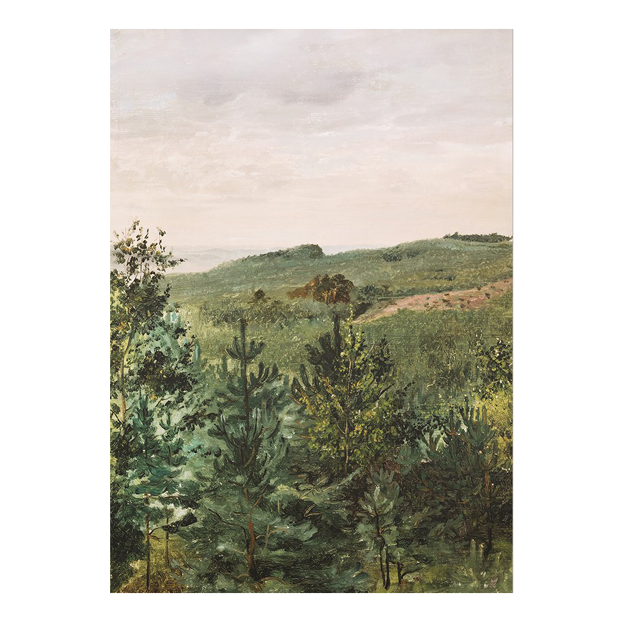 Poster Gallerix Spruce Saplings in Sandy Soil Study By Werner Holmberg