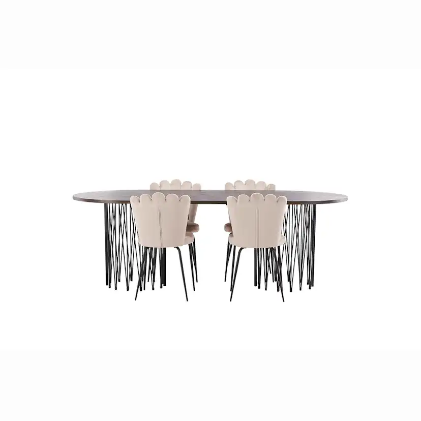 Matgrupp furniture/fashion Stone med 4 Limhamn Light Stolar