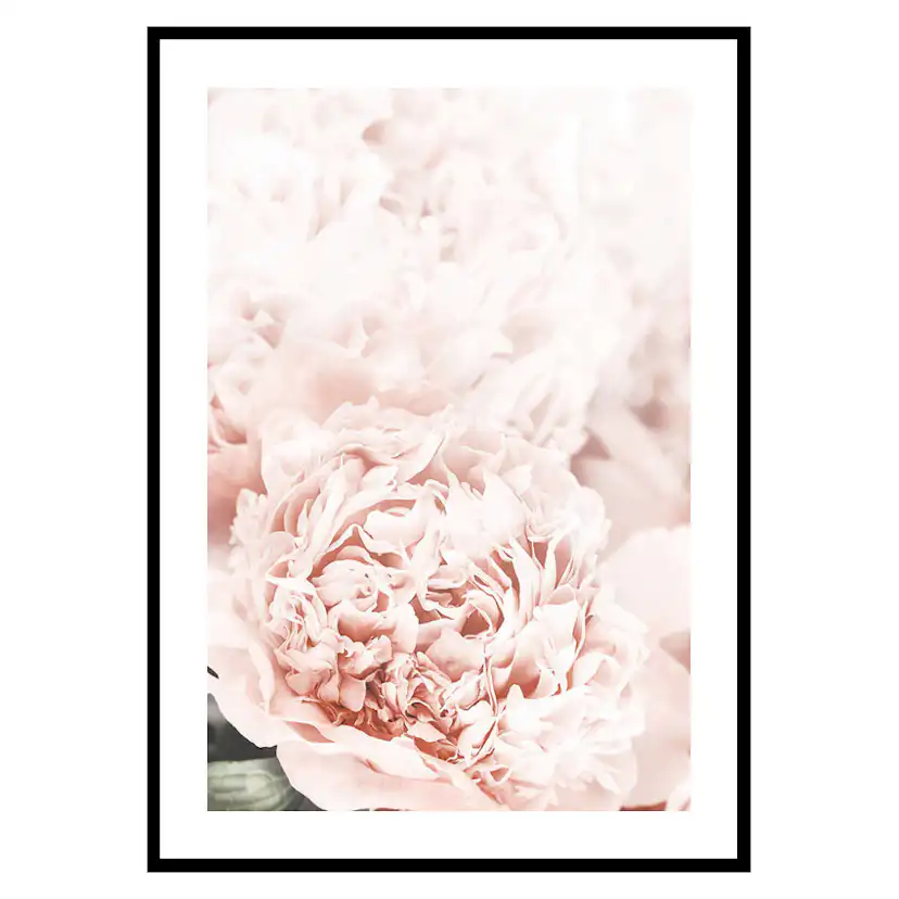 Poster Gallerix Loving Roses No1
