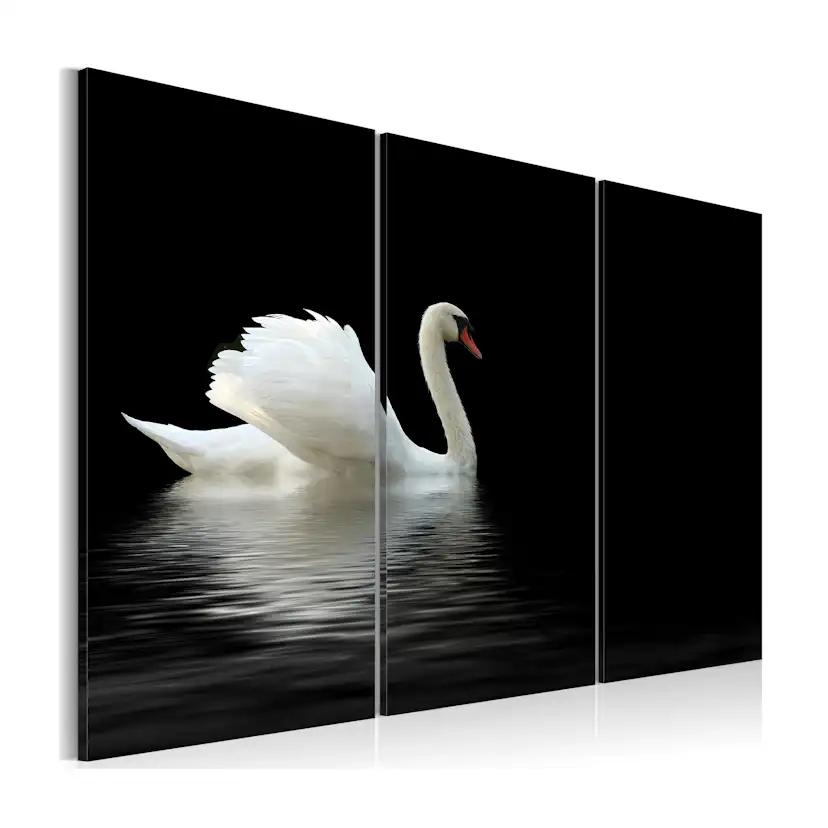 Tavla Arkiio A Lonely White Swan