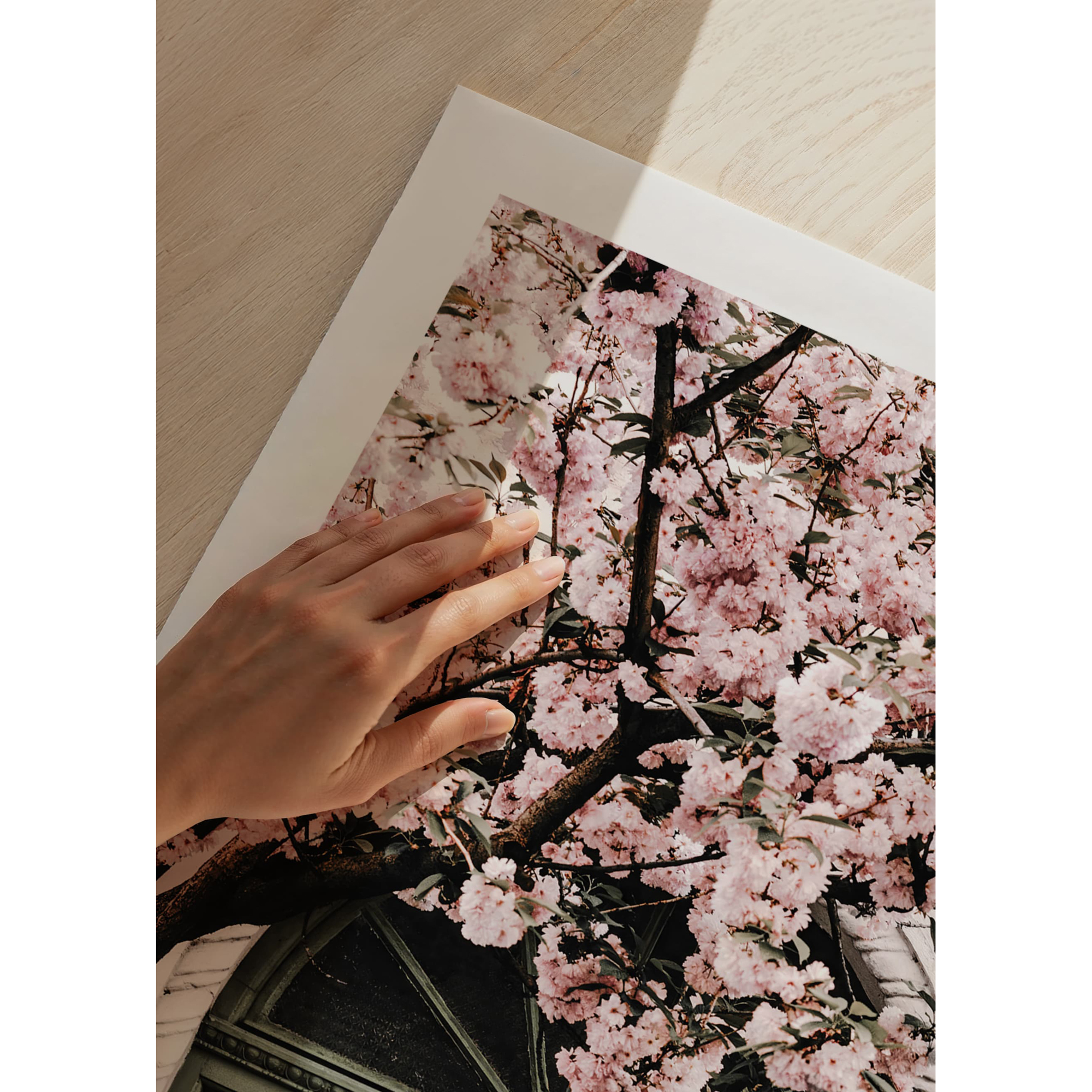 Poster Gallerix Pink Flowers Green Door