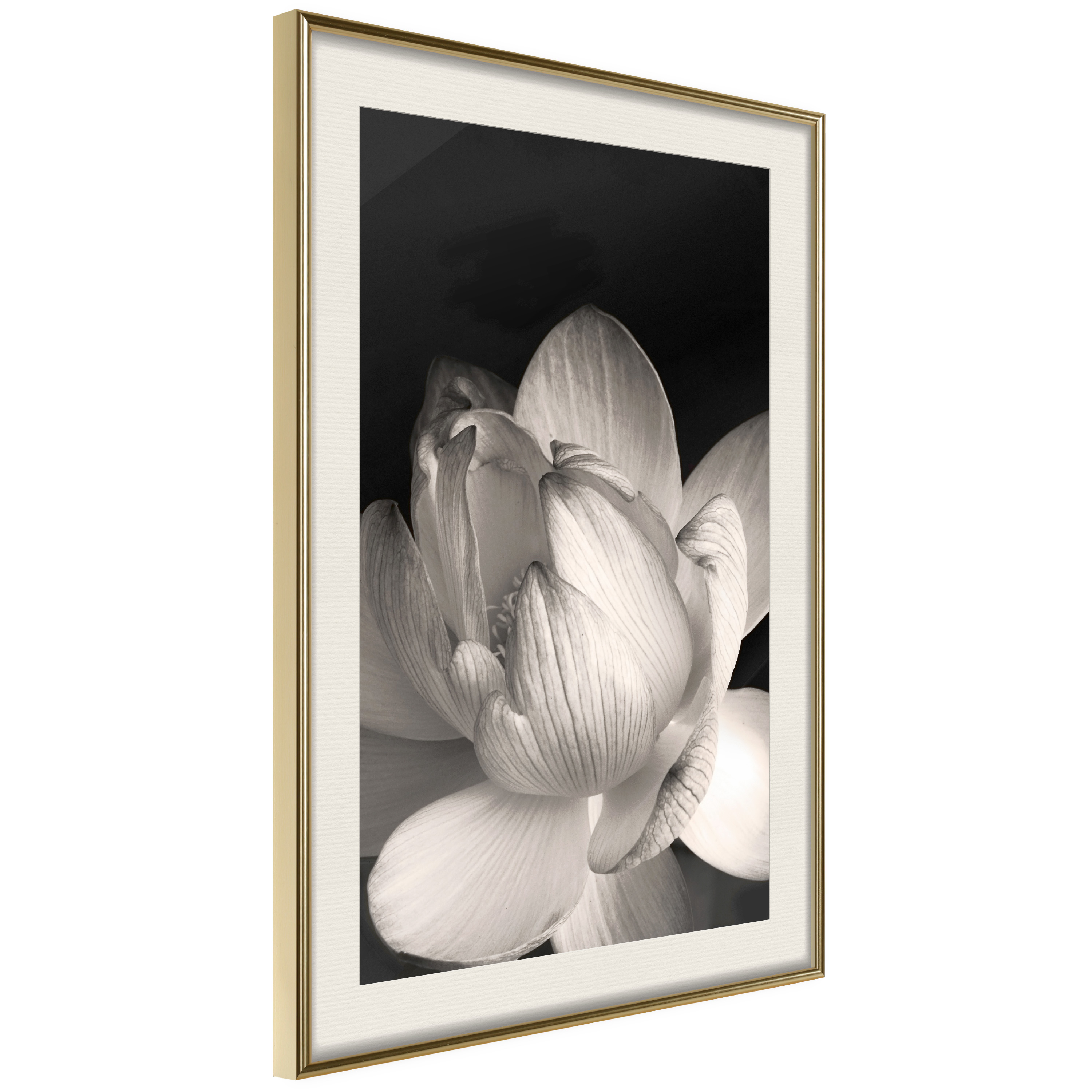 Poster Artgeist Affisch White Subtlety