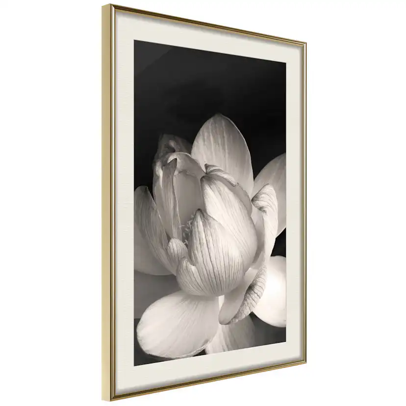Poster Artgeist Affisch White Subtlety
