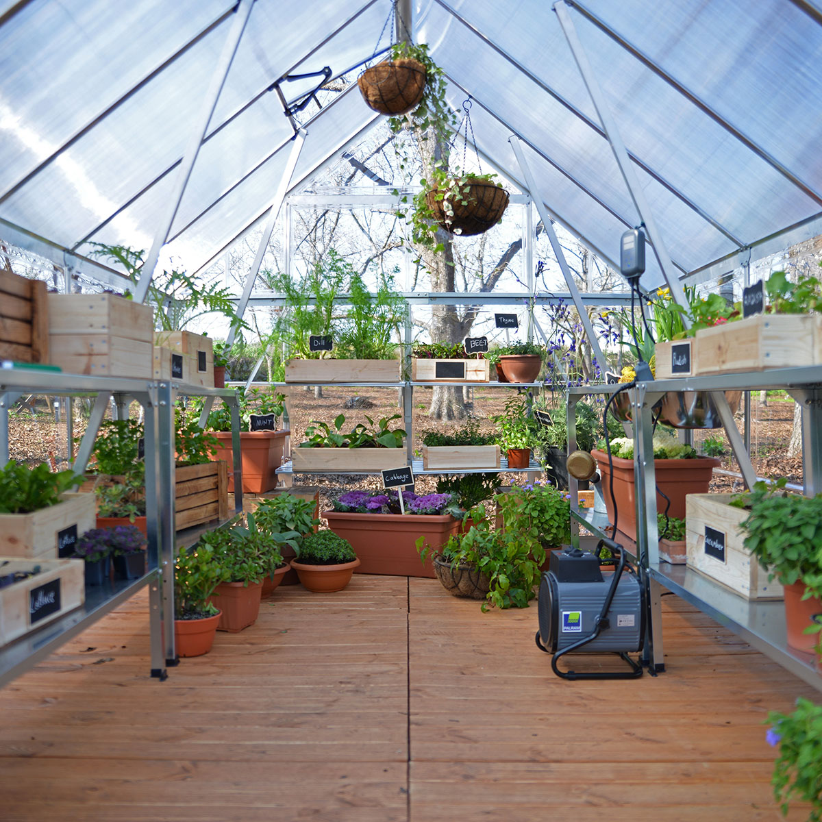 Växthus Canopia by Palram Balance 8,9 m²