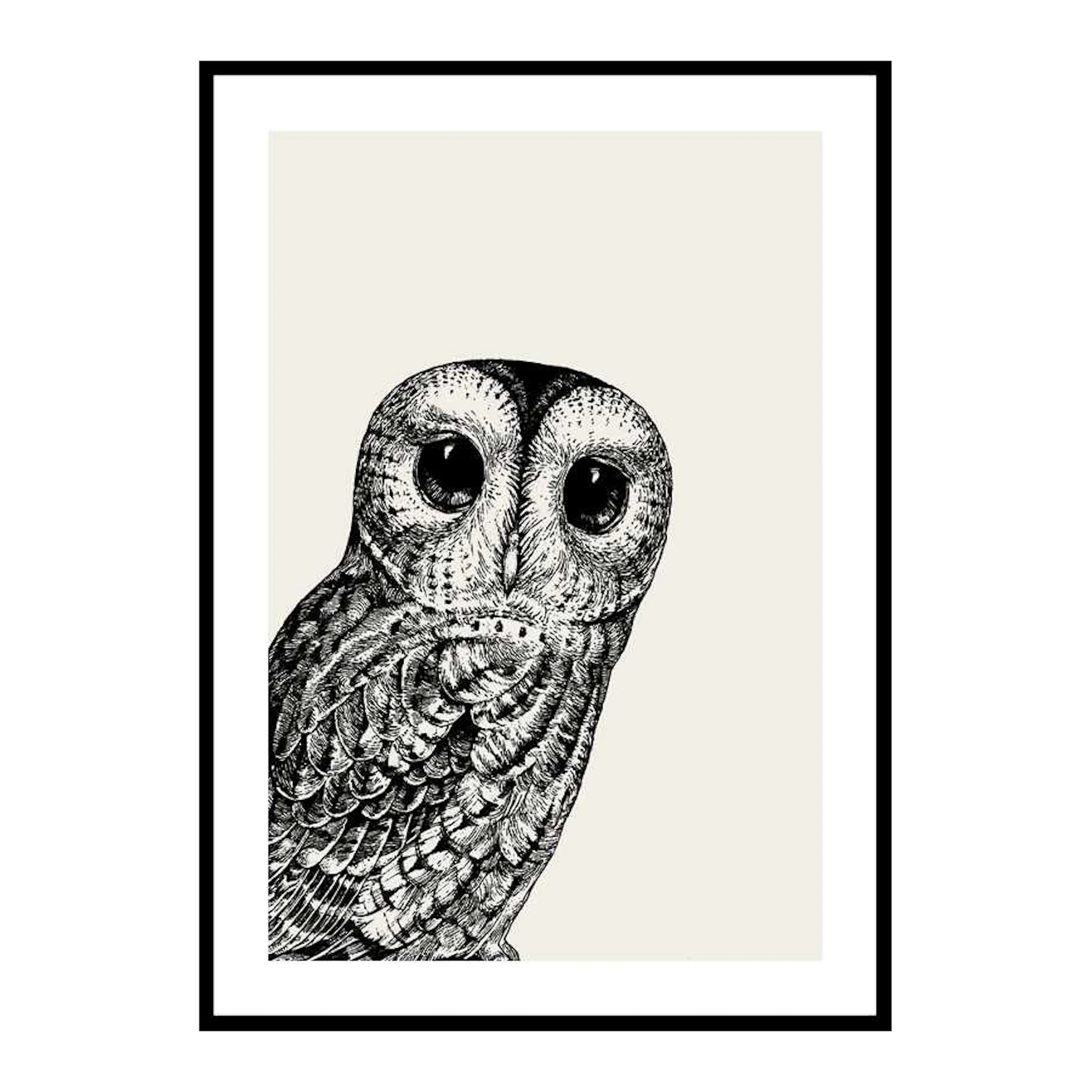Watching owl 50x70 cm