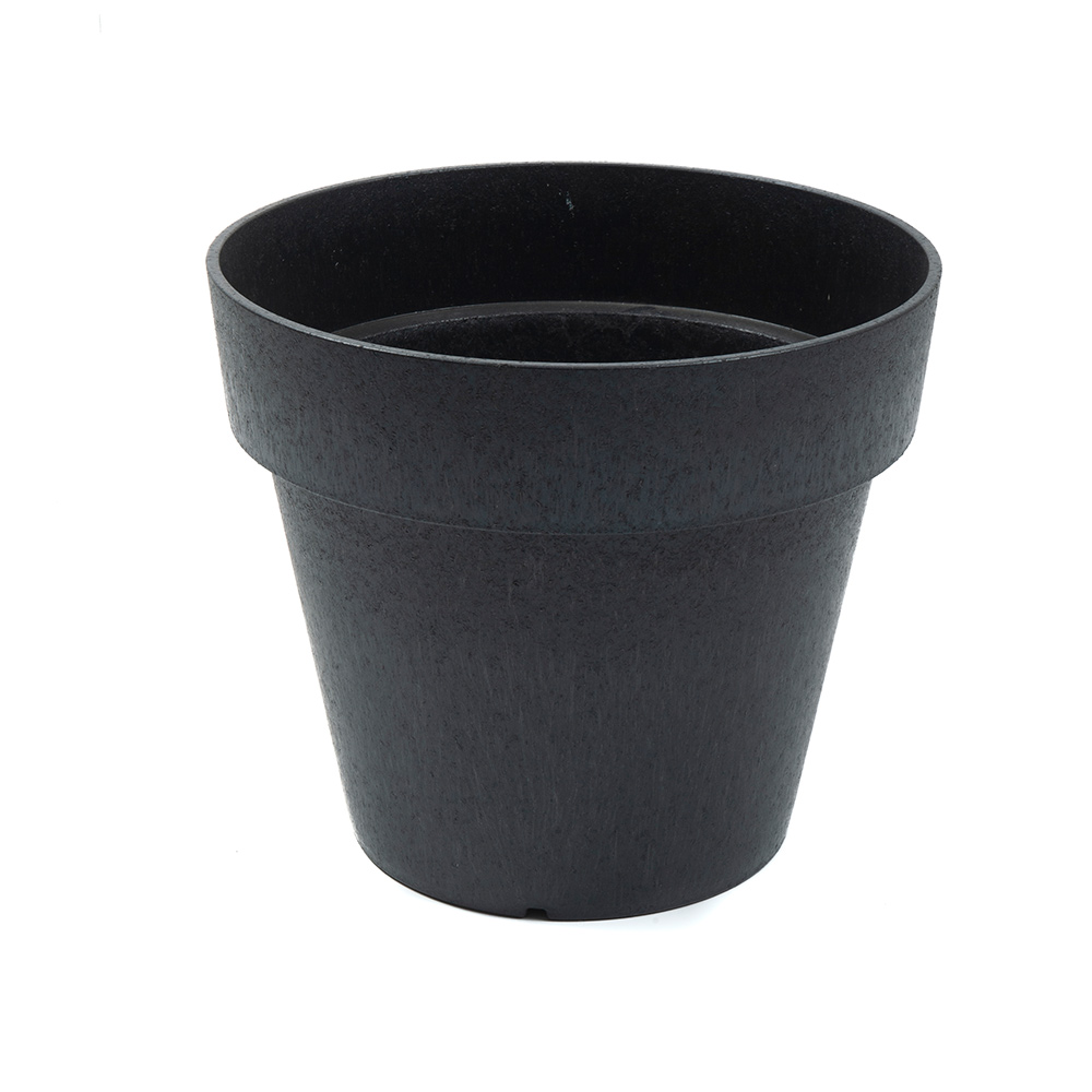 Blomkruka Recal Bariton