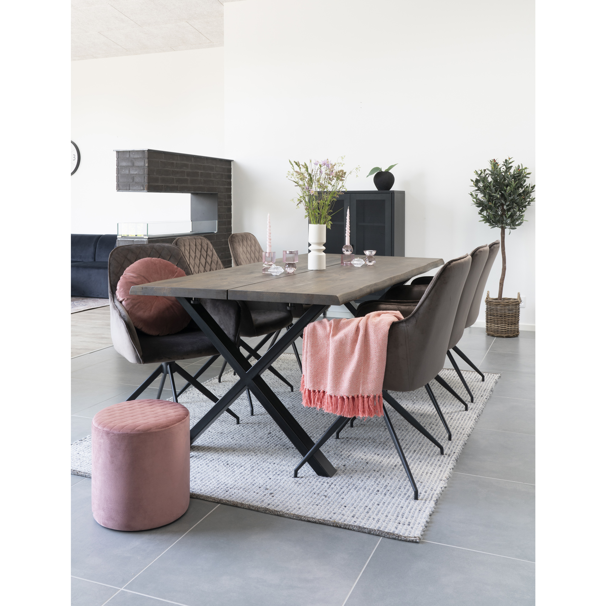 Konstväxt House Nordic Olive