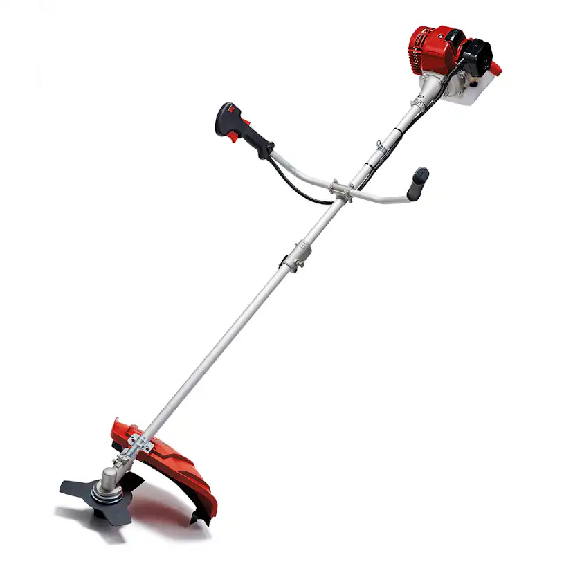 Röjsåg Einhell GC-BC 25/1 I AS