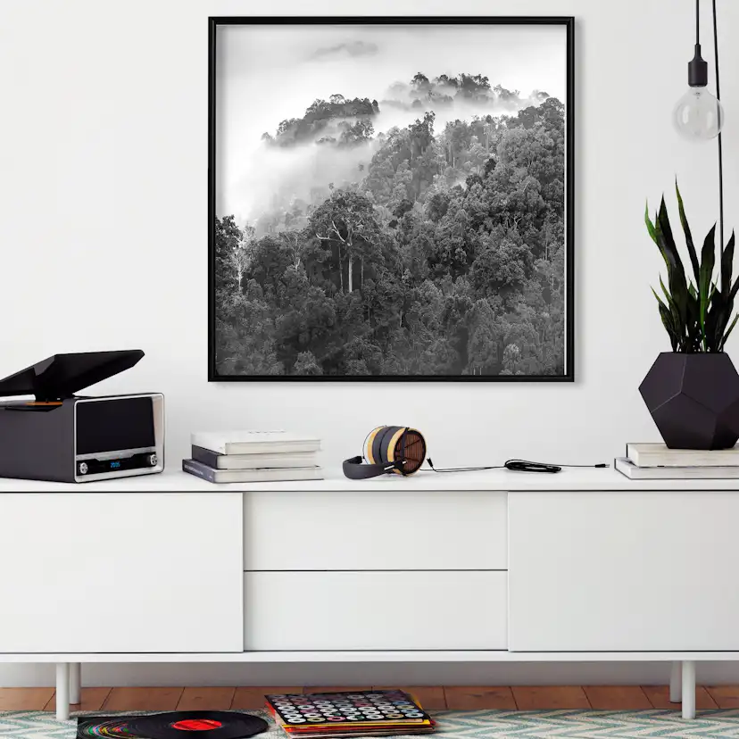Poster Artgeist Affisch Rainforest