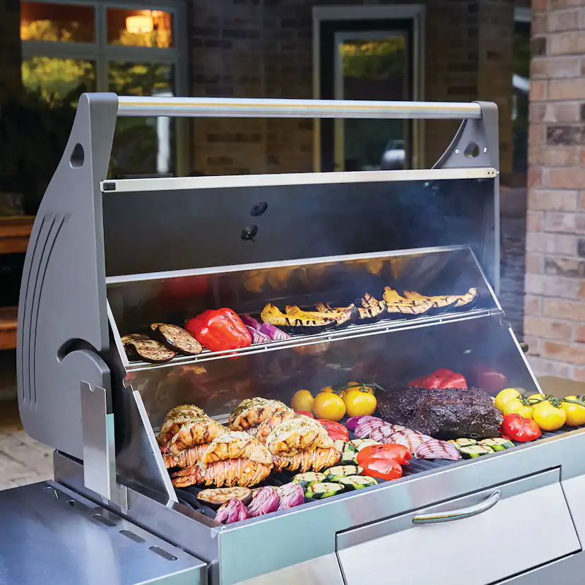 Kolgrill Napoleon PRO605