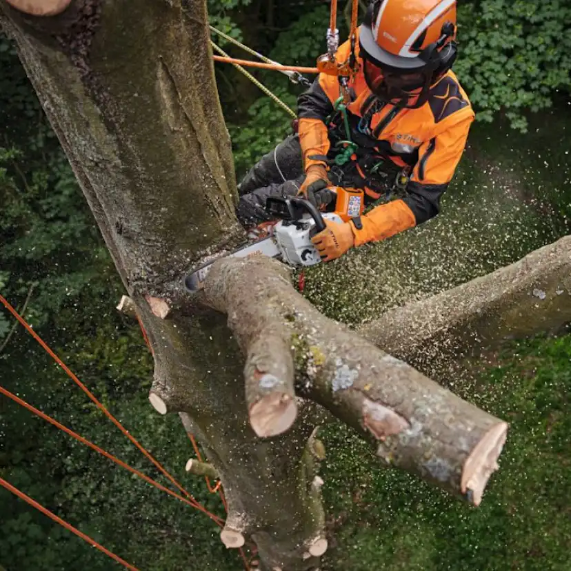 Motorsåg STIHL MSA 220 C-B Batteridriven