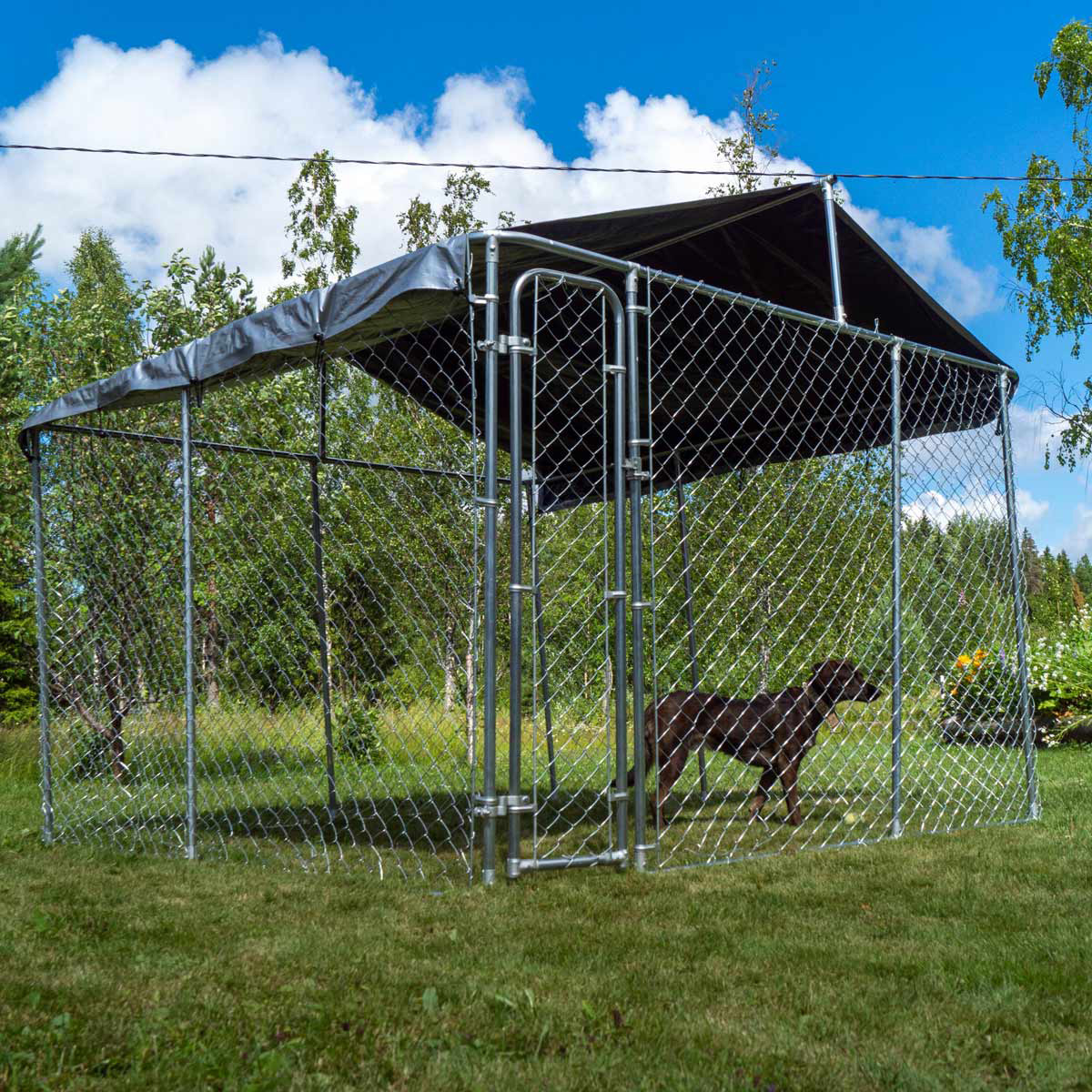 Trekker hundgård med tak, 6 x 3m 6x3 m