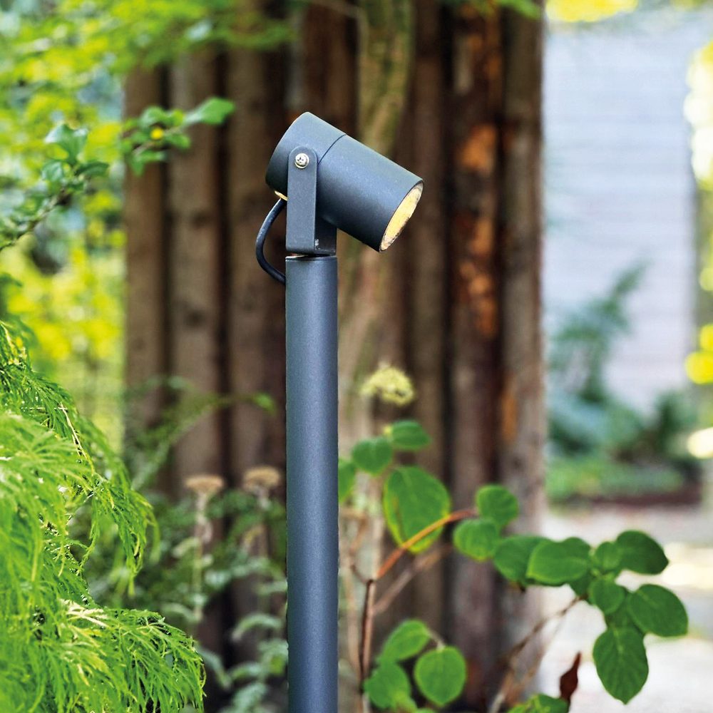 Pollare LightsOn Luna 65