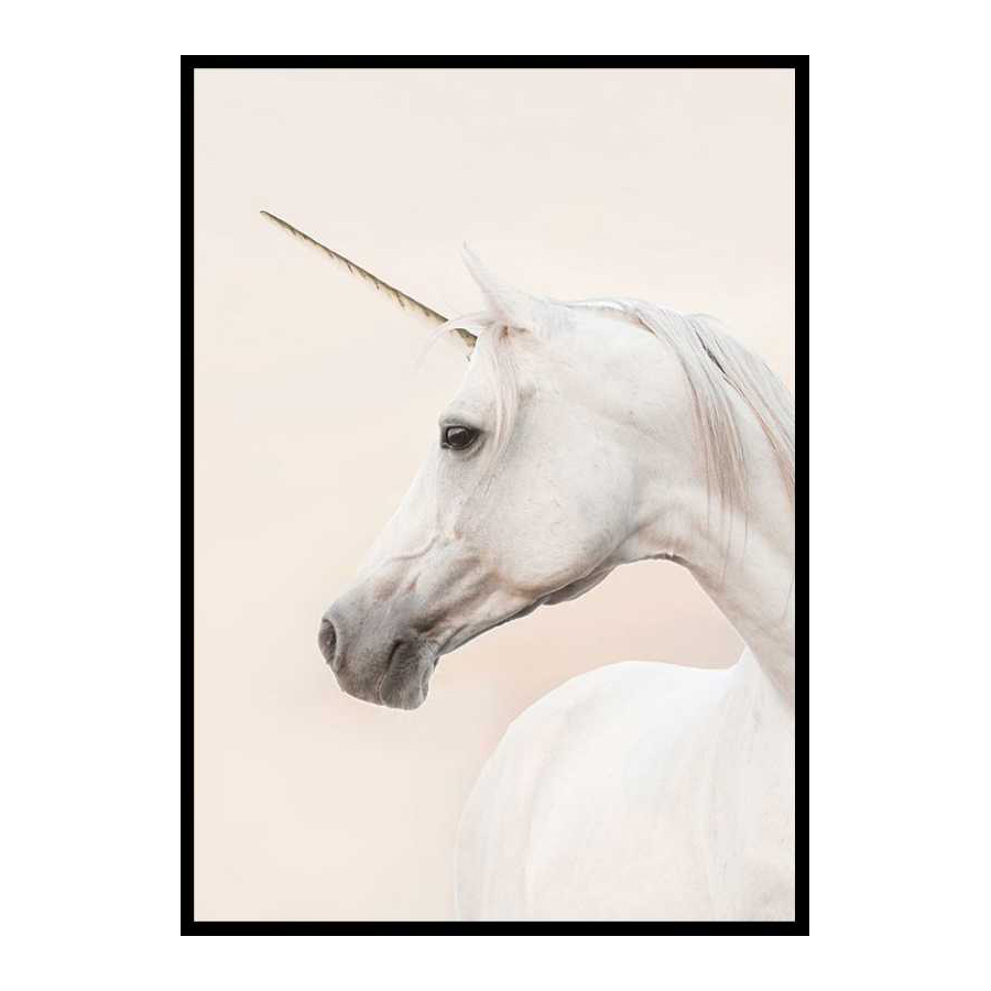 Poster Gallerix Unicorn