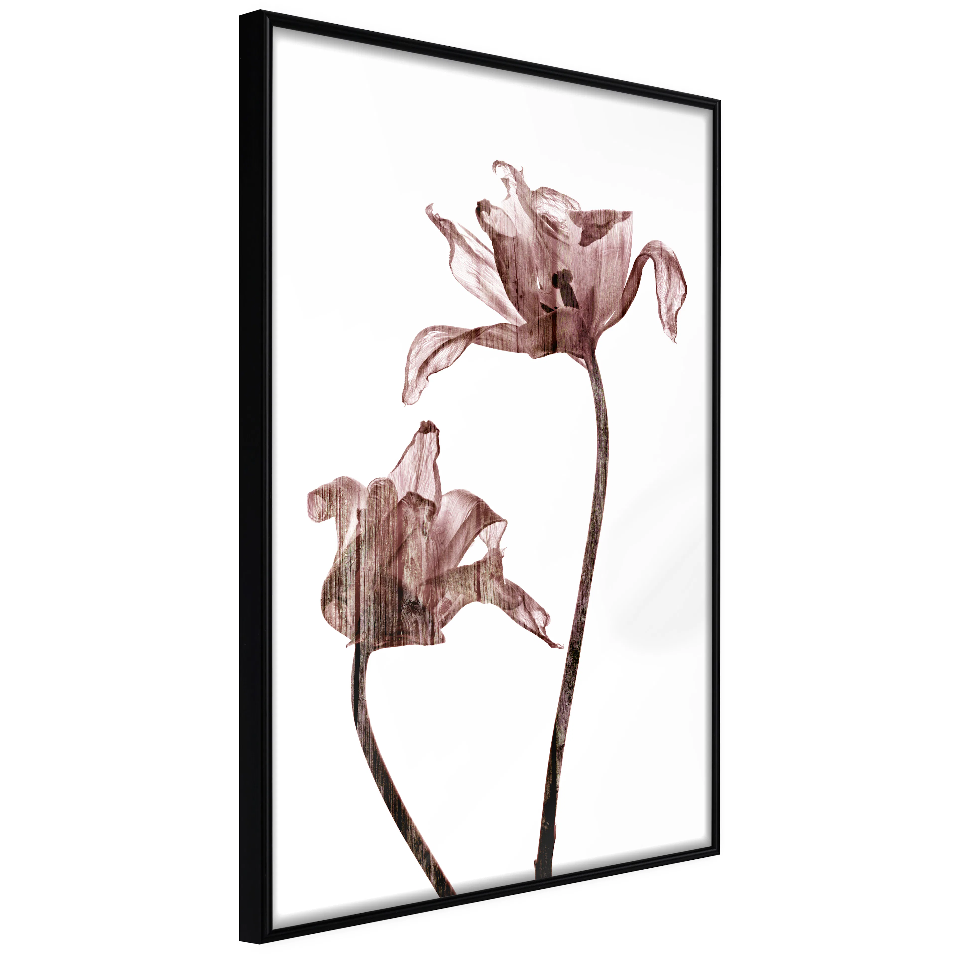 Affisch - Illuminated Closeness [Poster] 20x30 Svart ram, 20x30 cm