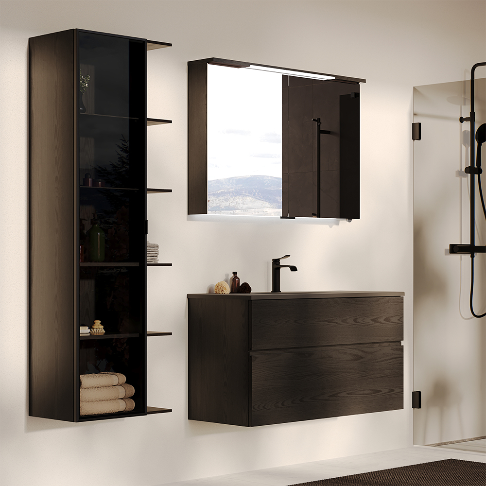 Dörr Högskåp Ram 160x35 Svart matt/Klar BxH: 350 x 1600 mm, Mattsvart, Klarglas