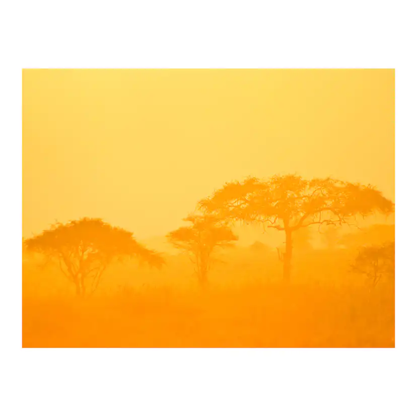 Orange savanna 200x154 Storlek: 200x154 cm