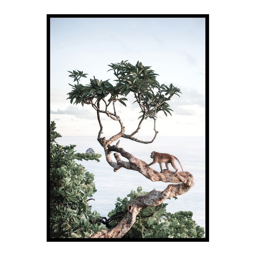 Poster Gallerix Monkey In Tree