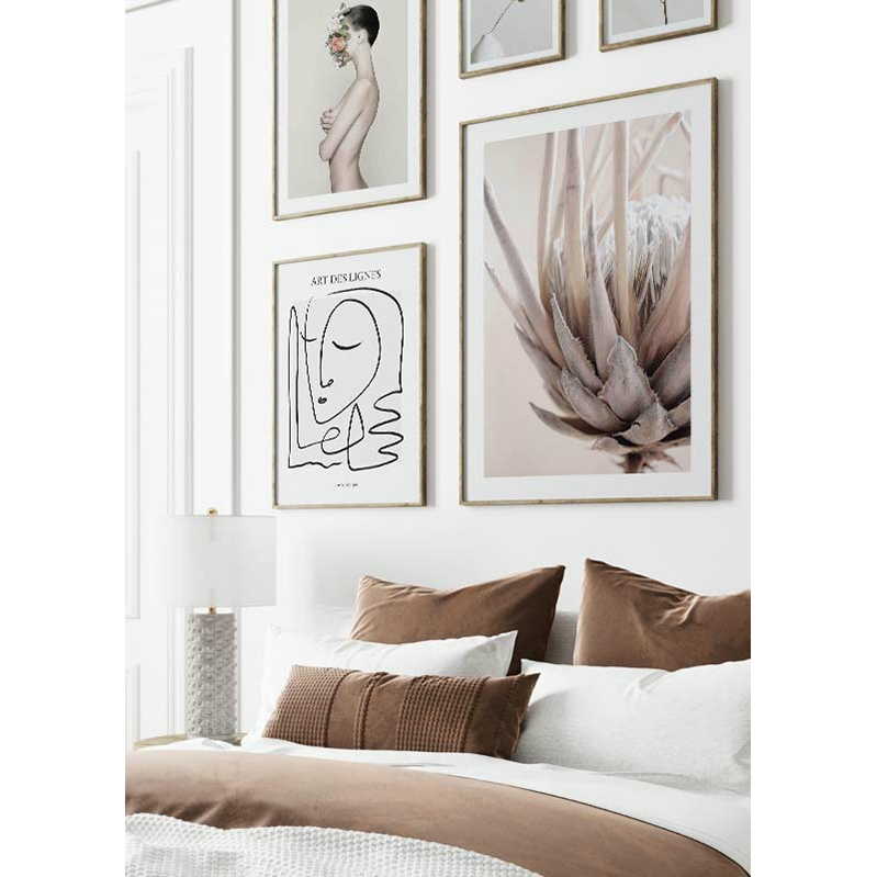 Poster Gallerix Protea Flower No2