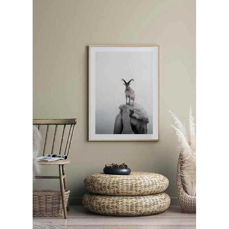 Poster Gallerix Intent Ibex