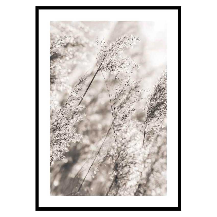 Poster Gallerix Dried Plants No3