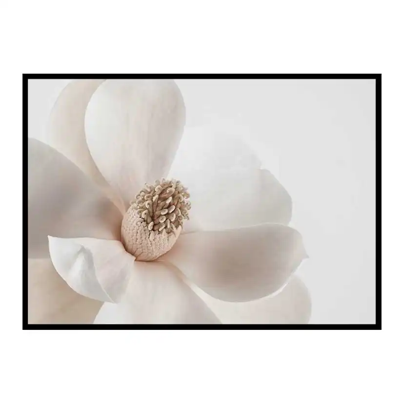 Poster Gallerix Beige Magnolia No1