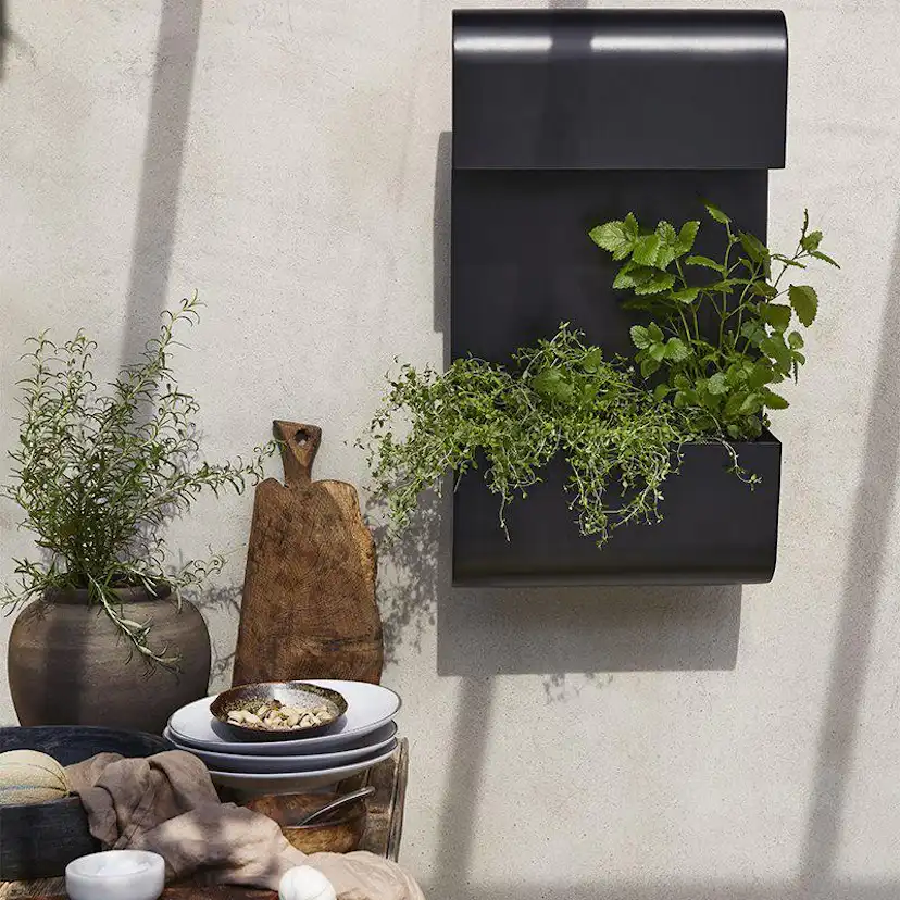 Vägglampa PR Home Planta