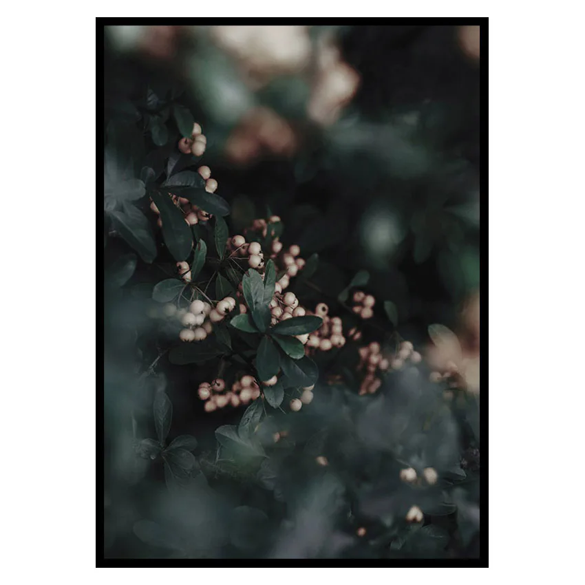 Poster Gallerix Forest Vegetation