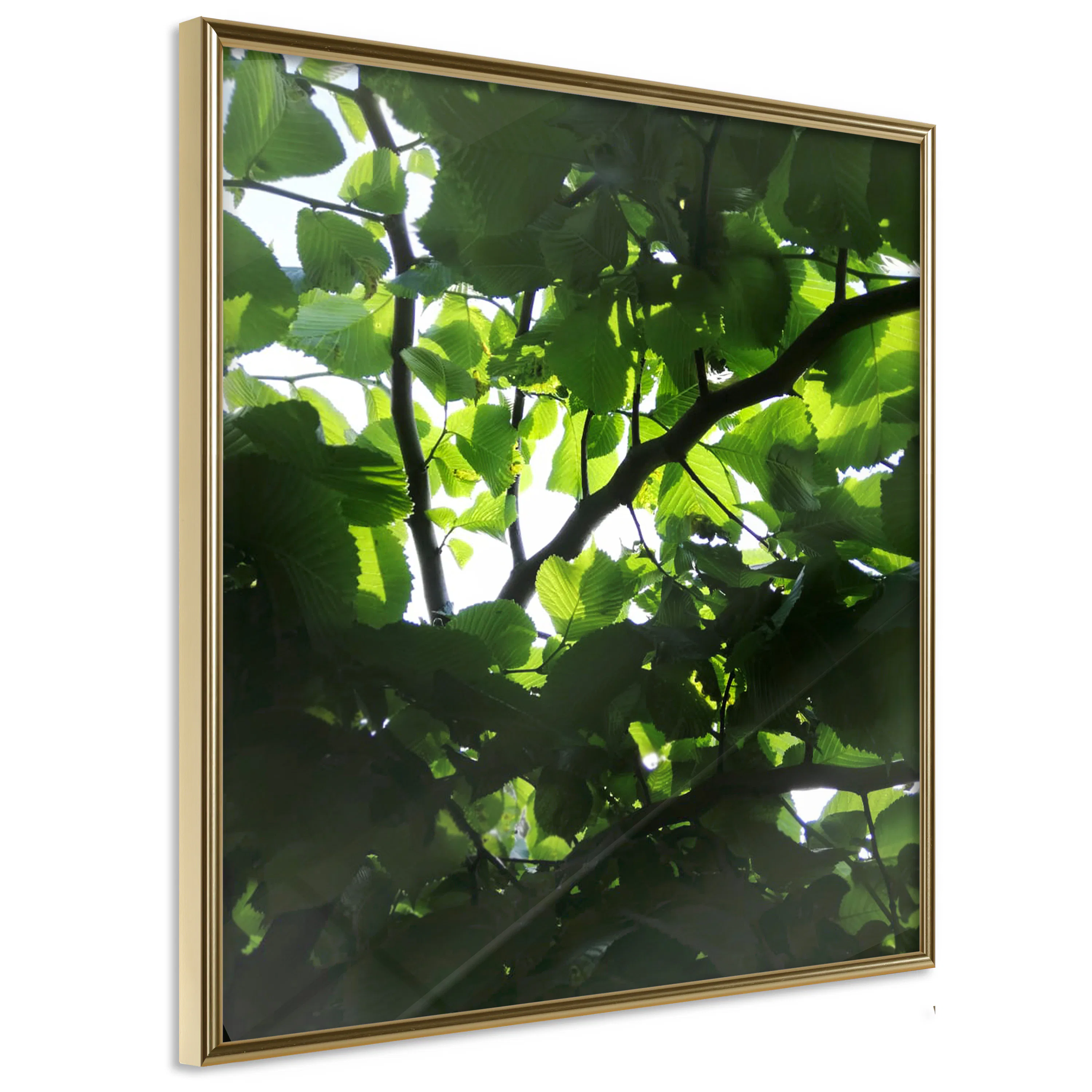 Poster Artgeist Affisch Dawn