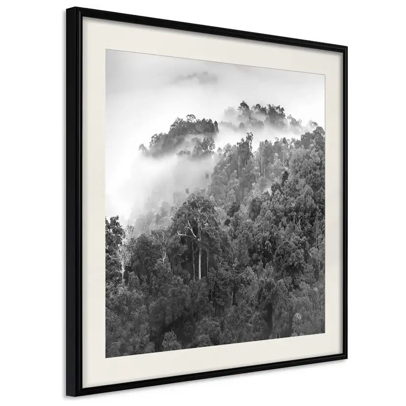 Poster Artgeist Affisch Rainforest
