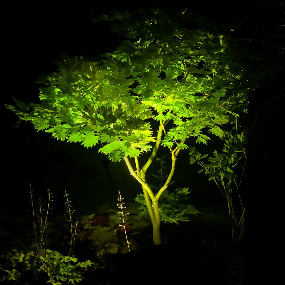 Markspot LightsOn Arcus