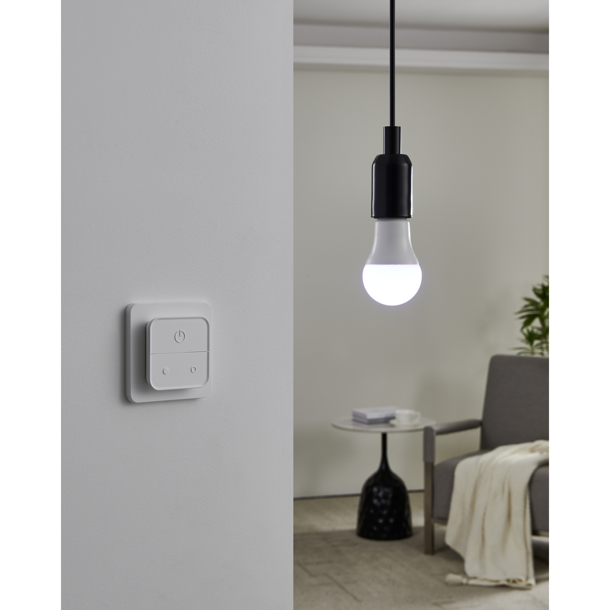 Ljuskälla Eglo 2xLM-ZIG-RGB/CCT E27 A60 9W Brytare