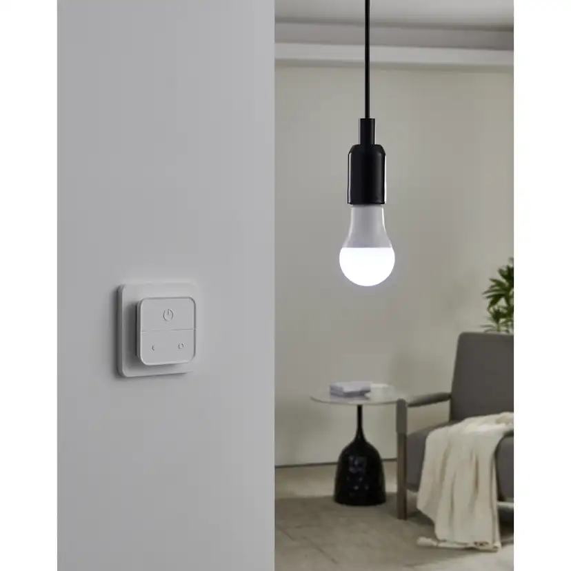 Ljuskälla Eglo 2xLM-ZIG-RGB/CCT E27 A60 9W Brytare